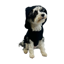 "Doggie Logo" Dog Hoodie