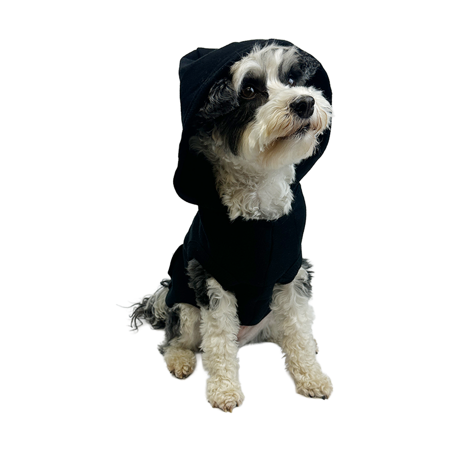 "Doggie Logo" Dog Hoodie
